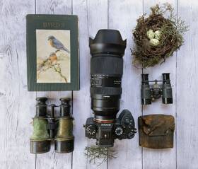 Objektív Tamron 50-400mm F/4.5-6.3 Di III VC VXD (Sony) čierny

 obrázok produktu 10 z 11