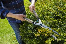 Nožnice na živý plot Gardena 967988901 NatureCut 

 obrázok produktu 3 z 5