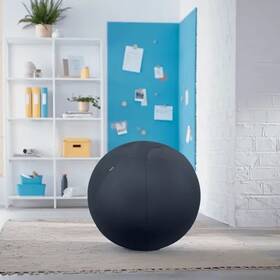 Sedacia lopta Leitz Ergo Cosy Dark Grey sivý

 obrázok produktu 5 z 11