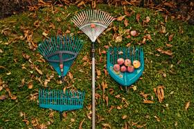 Násada Gardena 901052301 150 cm drevená

 obrázok produktu 2 z 5