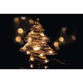 Vianočné osvetlenie EMOS 30 LED, stromek-ratan, teplá bílá 

 obrázok produktu 5 z 5