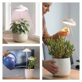 Lampa na pestovanie EMOS Dáždnik, 5 W, LED integrované, IP20 biela

 obrázok produktu 6 z 7