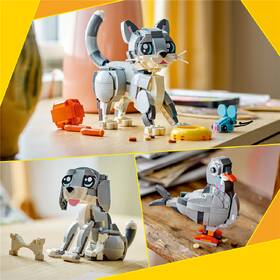 Stavebnica LEGO® Creator 3 v 1 31163 Hravá kočka 

 obrázok produktu 4 z 8