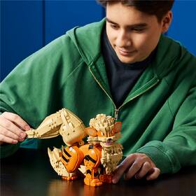 Stavebnica LEGO® Pokémon™ 72160 Pokémon 72160 

 obrázok produktu 6 z 9