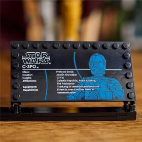 Stavebnica LEGO® Star Wars™ 75398 C-3PO™ 

 obrázok produktu 5 z 8