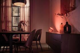 Stolná lampa Philips Iris Copper Special Edition medená

 obrázok produktu 4 z 6