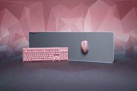 Podložka pod klávesnicu a myš Razer Goliathus Extended Chroma, 92 × 29,4 cm ružová

 obrázok produktu 1 z 2
