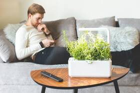 Inteligentný kvetináč Click and Grow Smart Garden 3 biely

 obrázok produktu 5 z 7