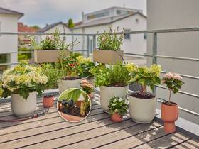 Súprava na zavlažovanie Gardena MicroDrip System 13401-20 

 obrázok produktu 3 z 4