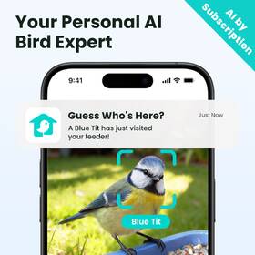 Vtáčie krmítko Birdfy Rookie Lite, s kamerou (AI predplatné) hnedý

 obrázok produktu 4 z 6
