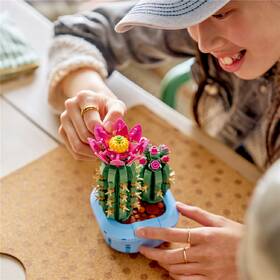 Stavebnica LEGO® Botanicals 11509 Kvetoucí kaktus 

 obrázok produktu 4 z 9