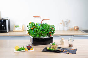 Inteligentný kvetináč Véritable SMART čierny/medený

 obrázok produktu 6 z 9