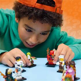 Stavebnica LEGO® Minifigurky 71052 29. série 

 obrázok produktu 5 z 9