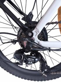Elektrobicykel GoGEN Lumion PLUS 2026 čierne/biele

 obrázok produktu 4 z 4
