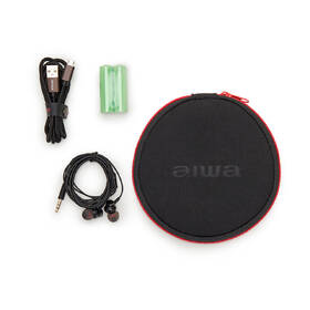 Discman AIWA PCD-810 čierny/modrý

 obrázok produktu 9 z 10