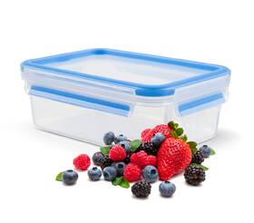 Dóza na potraviny Tefal K3021412, 1,2 l plast

 obrázok produktu 2 z 13