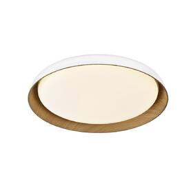 LED stropné svietidlo Top Light Satellite 50B RC, s diaľkovým ovládačom, 48W, 4800lm, stmievanie, pamäť, priemer 53cm biele/drevené

 obrázok produktu 3 z 4