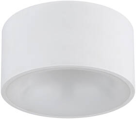 LED stropné svietidlo GLOBO Raymond, 12 W biele

 obrázok produktu 2 z 4
