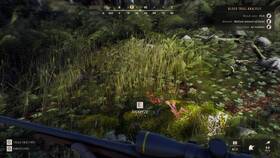 Hra THQ Nordic Way of the Hunter 

 obrázok produktu 8 z 11