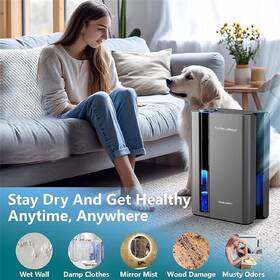 Odvlhčovač Rohnson R-9008 True Ion Compact strieborný

 obrázok produktu 13 z 13