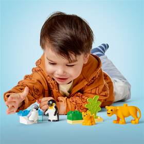 Stavebnica LEGO® DUPLO® 10442 Rodinky divokých zvierat: Tučniaky a levy 

 obrázok produktu 8 z 9