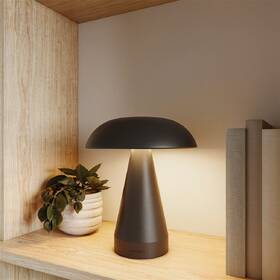 Stolná lampička Philips Mycena DSK215 2W 30-65K B USB čierna

 obrázok produktu 2 z 6