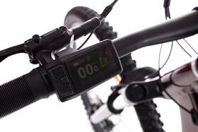 Elektrobicykel GoGEN Campo lite MX 720 29" 17" 2026 hnedé/vínovej

 obrázok produktu 5 z 23