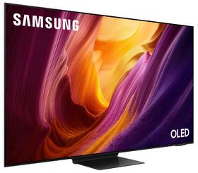 Televízor Samsung QE65S95H 

 obrázok produktu 5 z 8