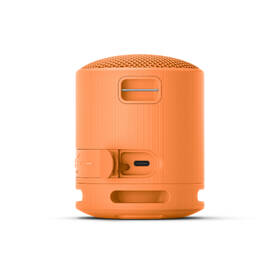 Prenosný reproduktor Sony SRS-XB100 oranžový

 obrázok produktu 4 z 9