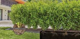 Súprava na zavlažovanie Gardena MicroDrip System 13501-20 

 obrázok produktu 2 z 4