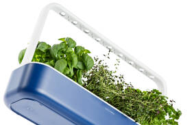 Inteligentný kvetináč Click and Grow Smart Garden 9 

 obrázok produktu 3 z 7
