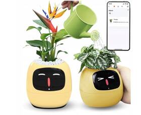 Inteligentný kvetináč Plantsio IVY žltý

 obrázok produktu 1 z 5