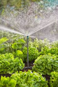 Rúrka rozvodná Gardena MicroDrip System (5 ks) 

 obrázok produktu 4 z 5