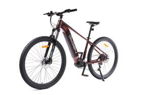Elektrobicykel GoGEN Campo lite MX 720 29" 17" 2026 hnedé/vínovej

 obrázok produktu 16 z 23