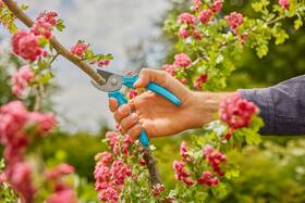 Nožnice záhradné Gardena EasyCut 

 obrázok produktu 2 z 3