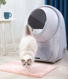 Inteligentná toaleta Catlink Scooper Young Version biely

 obrázok produktu 3 z 4