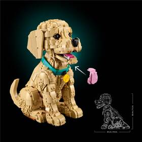 Stavebnica LEGO® Icons 11384 Štěně zlatého retrívra 

 obrázok produktu 8 z 9