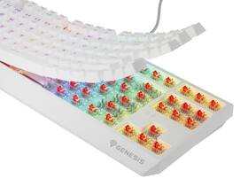 Klávesnica Genesis THOR 230, TKL, RGB, Outemu Red, bezdrôtová, US layout biela

 obrázok produktu 9 z 9