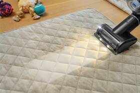 Tyčový vysávač Bissell 4090N PowerClean FurFinder Select čierny/modrý

 obrázok produktu 5 z 11