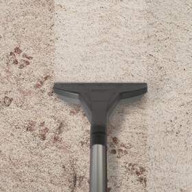 Viacúčelový vysávač Thomas MULTI CLEAN x10 PARQUETT zelený

 obrázok produktu 4 z 13