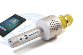 Karaoke mikrofón Technaxx BT-X35 strieborný/zlatý

 obrázok produktu 4 z 10