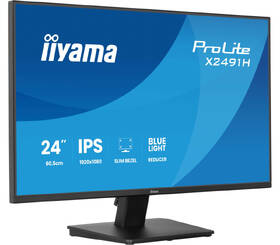 Monitor IIYAMA ProLite X2491H-B1 čierny

 obrázok produktu 4 z 9