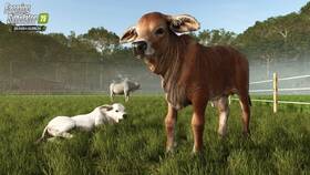 Hra GIANTS software PlayStation 5 Farming Simulator 25: Beans & Alpacas Edition 

 obrázok produktu 8 z 9