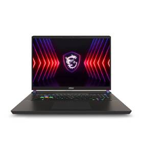 Notebook MSI Vector 17 HX A14VIG-1015CZ sivý

 obrázok produktu 4 z 12
