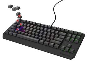 Klávesnica Genesis THOR 230, TKL, RGB, Outemu Red, CZ-SK layout čierna

 obrázok produktu 3 z 19