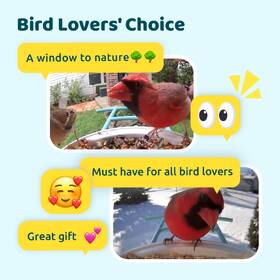 Vtáčie krmítko Birdfy s kamerou (AI predplatné) 

 obrázok produktu 8 z 8
