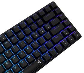 Klávesnica White Shark HAMACHI, RGB, Blue Switch, US layout čierna

 obrázok produktu 1 z 11