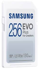 Pamäťová karta Samsung 256GB UHS-I U1 (130R/30W) 

 obrázok produktu 1 z 4