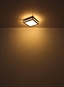 LED stropné svietidlo GLOBO Carla, 30 cm drevené

 obrázok produktu 6 z 6
