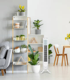Ventilátor stĺpový Ardes 5T802 biely

 obrázok produktu 4 z 6